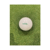 brabo Comp Balls Dimple Leerentveld 319.02050.000