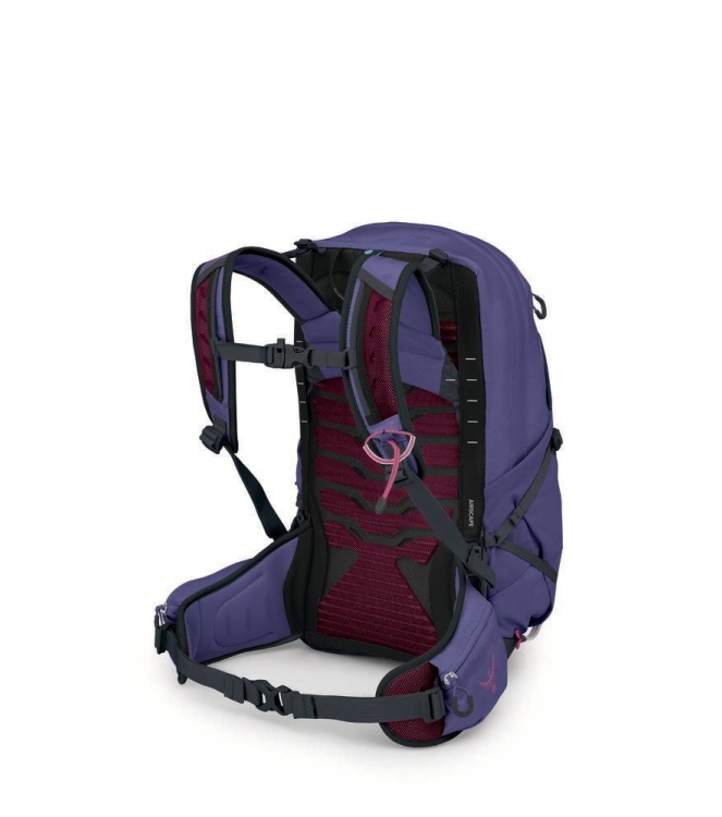 Osprey tassen 10006802 blauw combinatie bij Leerentveldvrijetijd.nl