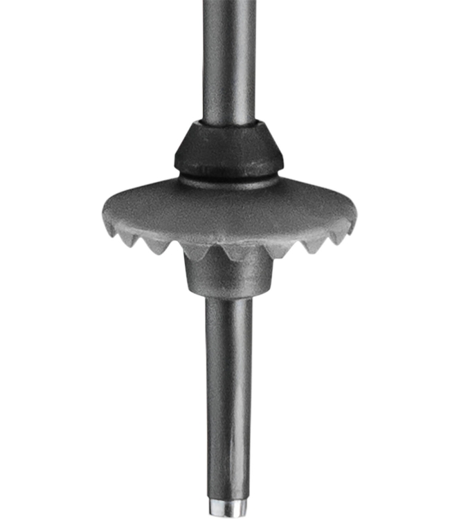 Leki ski LE65466441 licht grijs bij Leerentveldvrijetijd.nl