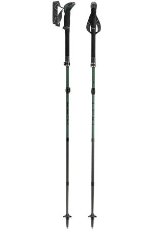 Leki Leki Makalu FX Carbon naturalcarbon/malachite-green/black