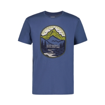 Icepeak Millington