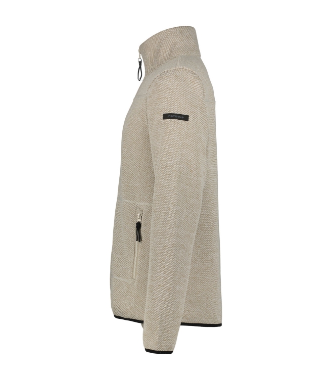 Icepeak fleeces en truien 9_57843_655_I turquoise bij Leerentveldvrijetijd.nl