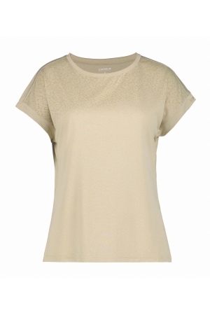 Icepeak Icepeak Brownfield 032_Cement