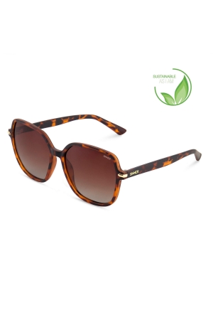 Sinner Sinner Barfleur Sintec® Gradient Brown cat_3 Matte Brown Tortoise