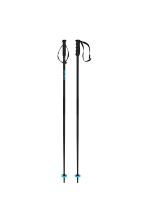 Head Head Multi skistokken Speed Blue