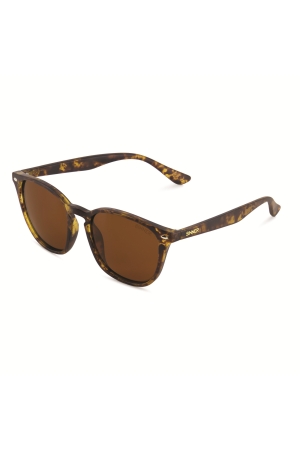 Sinner Sinner Sorai  Sintec Brown Matte Tortoise Brown