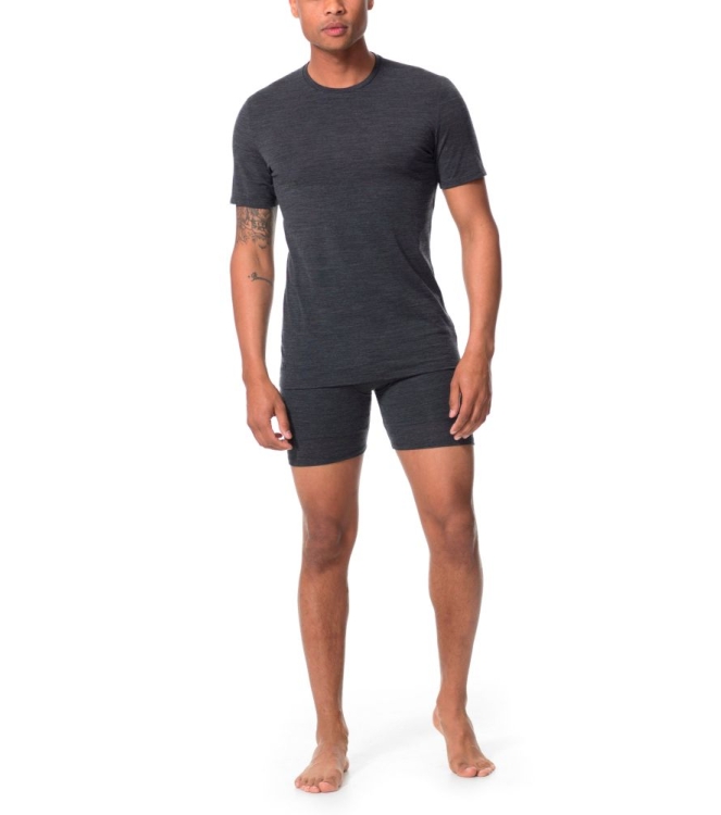 Icebreaker Icebreaker Mens Anatomica SS Crewe 0011 black IB103033 0011 Black Icebreaker wintersportkleding IB103033 licht grijs bij Leerentveldvrijetijd.nl