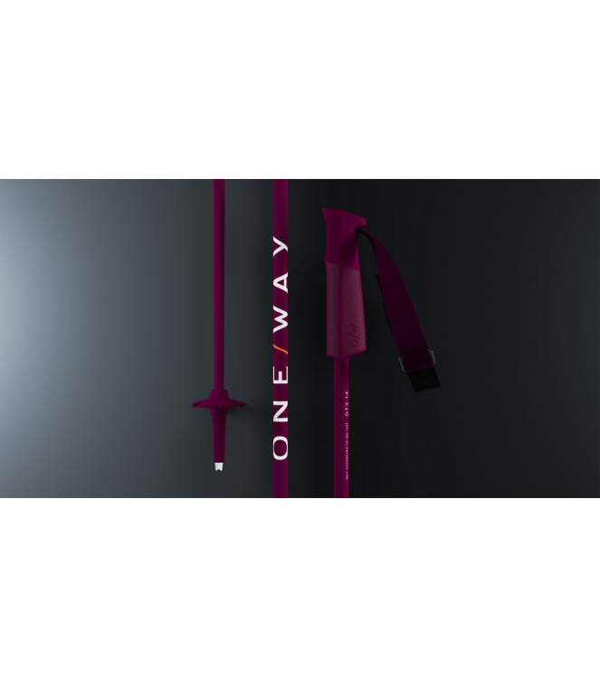 one way ski OZ32721 blauw combinatie bij Leerentveldvrijetijd.nl